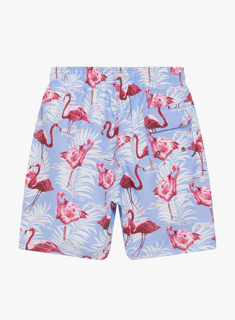 Trotters Swim Men's Swimshorts in Flamingo in blue | Trotters Childrenswear