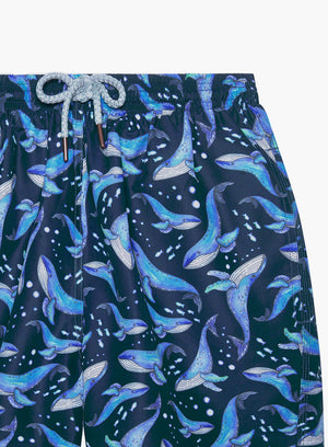 Trotters Swim Swimshorts Mens Daddy & Me Swimshorts in Whale