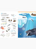 Usborne Book Usborne's Transfer Activity Book Under The Sea